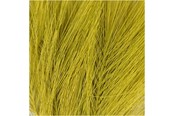 Creatief spelen - Creativ Company Artificial feathers Green 10 pcs. - 518058