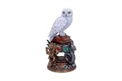 Merchandise - Nemesis Now - Harry Potter Hedwig Figurine 22cm - Figuur - B6148W2