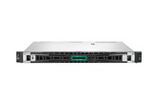 Server - Hewlett Packard Enterprise HPE ProLiant DL20 Gen11 High Performance - P65396-421