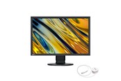 Scherm - 24" EIZO ColorEdge CS2400RCAL 24" sRGB with Calibrator - CS2400RCAL