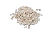 Schrijf- en tekenartikelen - Colorations - Small Ark Shells 500 grams - 38WD12