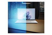 Systeemaccessoires - Dicota - display privacy filter - universal - D50030-2SM