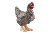 Schleich - Schleich Plymouth Rock kip - 13997