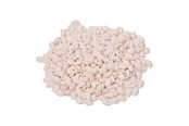 Schrijf- en tekenartikelen - Colorations - Seashells Kauri 300g - 38WD26