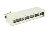 Accessoires - DeLOCK Keystone Desktop Patch Panel - 12 Ports - 43335