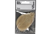 Schrijf- en tekenartikelen - Creativ Company - Skeleton Leaves Natural Dried Leaves 20 pcs. - 504493