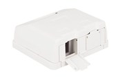 Accessoires - DeLOCK Keystone Surface Mounted Box - 86236