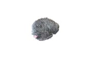 Microfoon - Rycote Windjammer FWS 40/55 - RYC055378