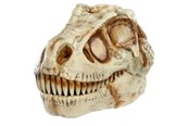 Speelgoedpop - Gross-a-saurus GrossMos Dino - assorted - 0035051521532