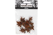 Schrijf- en tekenartikelen - Creativ Company - Star Anise 10 pcs. - 50244