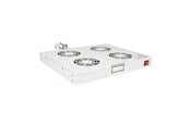 Rackkoffers - Roline - rack fan - 4 fans with thermostat - 1U - 26.21.0107