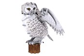 Puzzels - Cubic Fun 3D Puzzle National Geographic Snow Owl 3D Puzzels - 2012564