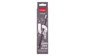 Schrijf- en tekengerei - Bruynzeel Teens Hb Graphite Pencil with Eraser Tip Set 12 - 60211012