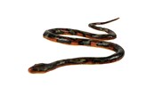 Speelgoedpop - Johntoy Snake Soft Touch 135cm - 26328