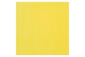 Creatief spelen - Bruynzeel Ecola Poster Paint Bottle 16ml Lemon Yellow (Primary) 205 - 09162050