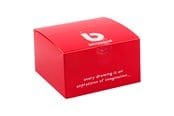 Creatief spelen - Bruynzeel Triangular Pencil Sharpener 1st. - 60582040