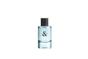 Parfum en geuren - Tiffany & Co Love Eau de Toilette for Him - 3614227728820