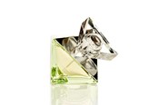 Parfum en geuren - Britney Spears Believe Eau de Parfum 30 ml - 719346117708