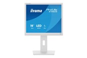 Scherm - 19" iiyama B1980S-W1 - 1280x1024 - 75Hz - TN - B1980S-W1