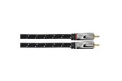 Audiokabel - AVINITY 2m 2xRCA audio cable - 00107793
