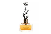 Parfum en geuren - Aurora Deciduous Autumn Eau De Parfum For Women 100 ml - 6290360540269
