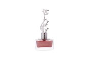 Parfum en geuren - Aurora Deciduous Spring Eau De Parfum For Women 100 ml - 6290360540276