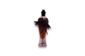 Parfum en geuren - Chantal Thomass Gold Eau De Parfum For Women 100 ml - 3760040113029