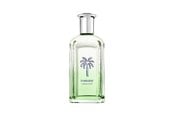 Parfum en geuren - Tommy Hilfiger - Tommy Endless Summer - 100 ml - 100 ml - 64268