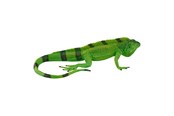 Speelgoedpop - Mojo Wildlife Iguana - 381095