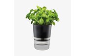 Keuken accessoires - GEFU Kruidenpot, BOTANICO - 4006664189200