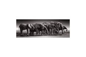 Puzzels - Clementoni Jigsaw Puzzle Herd of Giants 1000pcs. Vloer - 39895
