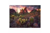 Puzzels - Ravensburger Jigsaw puzzle Cactus 500 pcs. Vloer - 12001380
