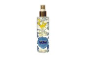 Lichaamsverzorging - Beverly Hills Polo Club No. 2 Classic Fougere, Body Spray, 200 ml - 6291107164267