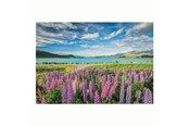 Puzzels - Clementoni Jigsaw Puzzle Flowers at Lake Tekapo 1500pcs. Vloer - 31728