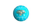 Voetbal en balspellen - Schreuder Beach bold  Ø:21cm. 280 gr. +3år PVC - 26023