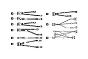 SATA - ATA-kabel - Lenovo SATA / SAS cable kit - 4X97A82939