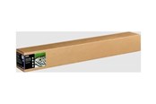Inkt, toner en verbruiksartikelen - Epson Fine Art Cotton Textured Natural 44" x 15m - C13S450279NQ