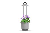 Tuingereedschap - Click & Grow HydroVase Indoor Plant Care Kit with LED Light Self-Watering and Automatic Timer - Gray - CGHVGEU