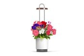 Tuingereedschap - Click & Grow HydroVase Grow Fresh Plants Indoors All Year Round with LED Lighting and Self-Watering System - White - CGHVWEU