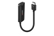 Beelscherm- en tv-kabel - Lindy adapter - 15.7 cm - 38327