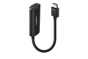 Beelscherm- en tv-kabel - Lindy adapter cable - 15.7 cm - 38329
