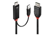 Beelscherm- en tv-kabel - Lindy adapter cable - 2 m - 41499