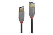 USB-kabel - Lindy Anthra Line - USB cable - USB Type A to USB Type A - 50 cm - 36760
