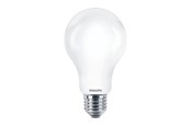 Armaturen & Lampen - Philips LED spot A67 Standard 2000lm 13W/865 (120W) Frosted E27 - 929002372001