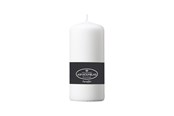 Decoratie - Asp-Holmblad Pilaarkaars Ice White - 350-257005-10