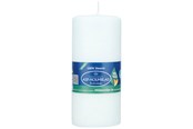 Decoratie - Asp-Holmblad Milieuvriendelijke pilaarkaars White - 71710