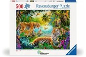Puzzels - Ravensburger Tigers in the Oasis 500p - 12001384