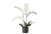 Decoratie - Bloomingville Orchid - 82061501