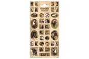 Hobby artikelen - Totum - Horse sticker sheet - 100426
