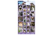 Hobby artikelen - Totum - Sticker sheet Cats - 100668